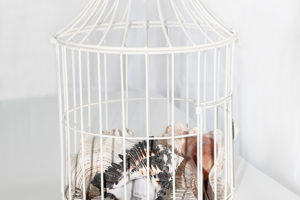 Bird Cage  14"H